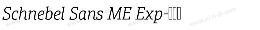 Schnebel Sans ME Exp字体转换